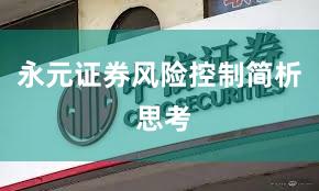 永元证券风险控制简析 思考