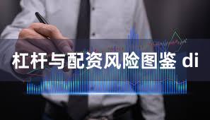 杠杆与配资风险图鉴 di